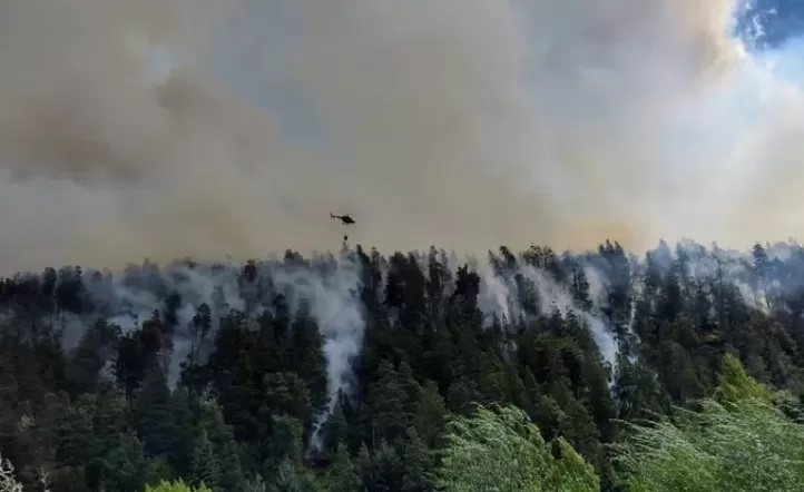 Preocupación en el Bolsón por incendio forestal