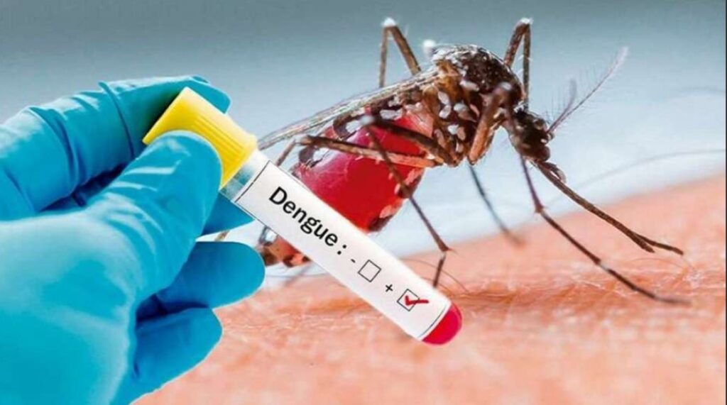 Brote récord de dengue con más de 151.000 casos